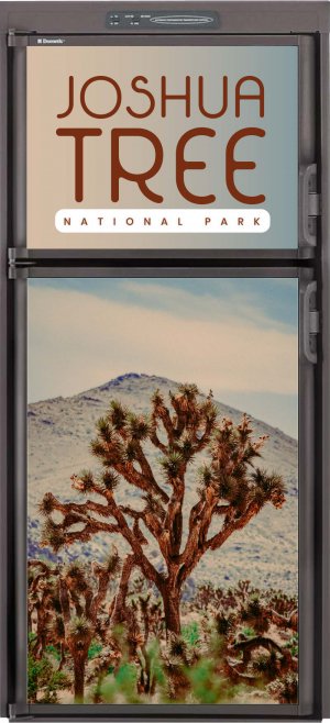 Joshua Tree National Park 2