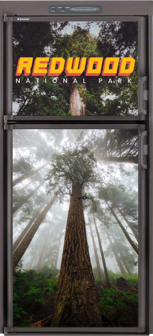 Redwood National Park 2